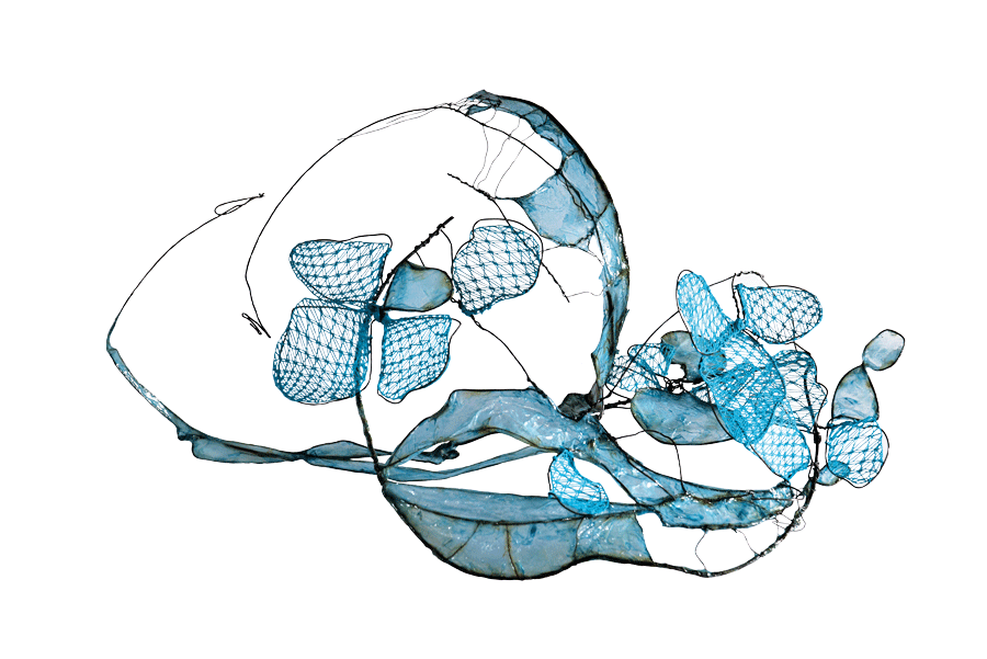 Abb9_Baumgarte